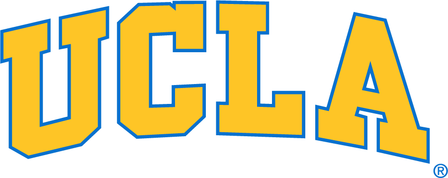 UCLA Bruins 1996-2017 Wordmark Logo DIY iron on transfer (heat transfer)